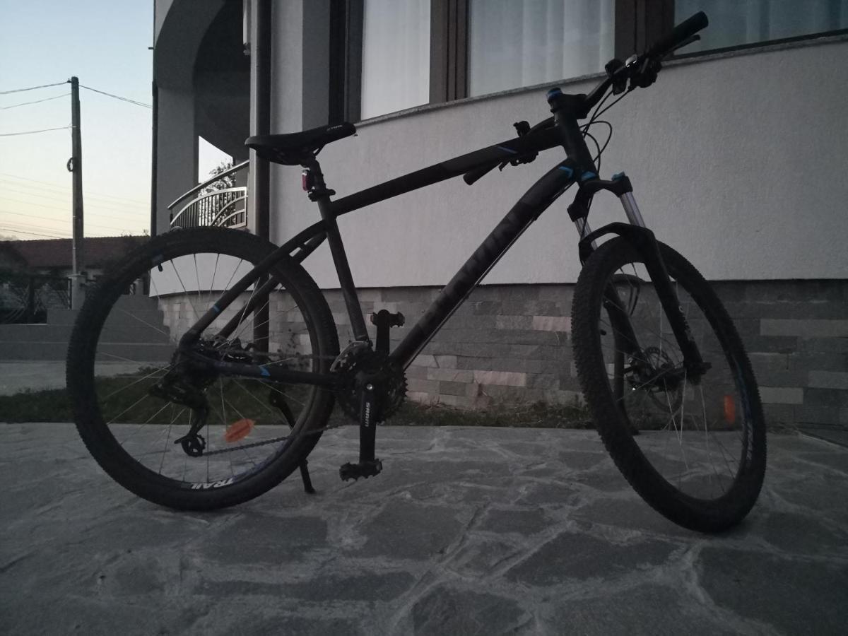 Pensiunea Casa Hortopan Târgu Jiu 외부 사진